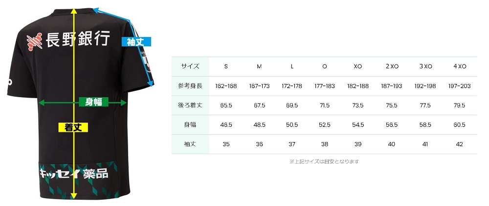 adidas 2023 松本山雅FC FPサマーユニフォーム半袖 【公式】レアルスポーツ オンラインショップ