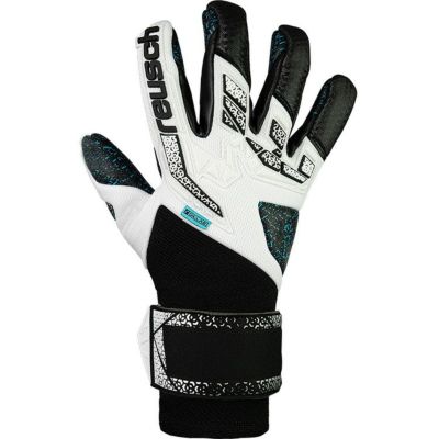 reusch ロイシュ アトラクトフリーゲル フュージョンゴアリエーター 5570995 1125