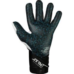 000000016291-02-xs.jpg?t=