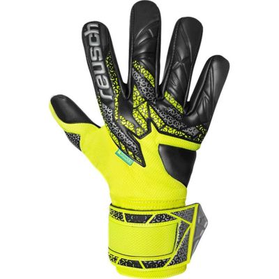 reusch ロイシュ アトラクト ゴールドX NC 5570955 2025