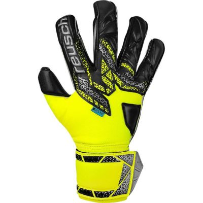 reusch ロイシュ アトラクト ゴールドエボリューション 5570164 2025