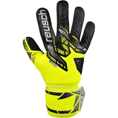 reusch ロイシュ アトラクトシルバー 5560215 2025