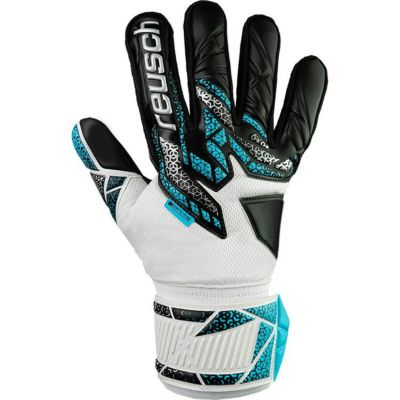 reusch ロイシュ アトラクトシルバー 5560215 1125
