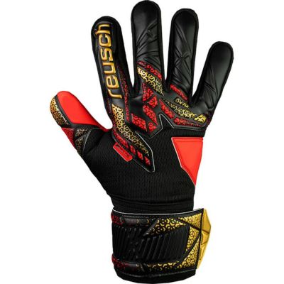 reusch ロイシュ アトラクトシルバー 5560215 7075