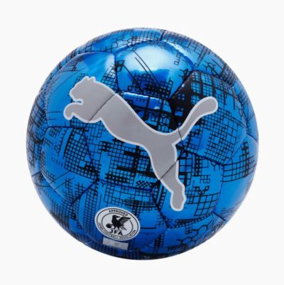 PUMA プーマ サッカーボール 4号球 PUMA CUP グラフィック ボール HS